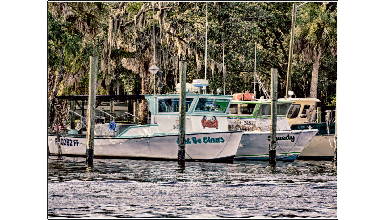 Shellys Seafood Market Homosassa Florida, Stone Crab, Blue Crab, Fresh
